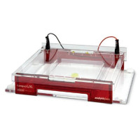 ANALYTIK JENA Biometra Compact L for gel size 23.9 cm x 20.0 cm