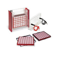 ANALYTIK JENA Tankblot Eco-Maxi system EBC for 2 gels