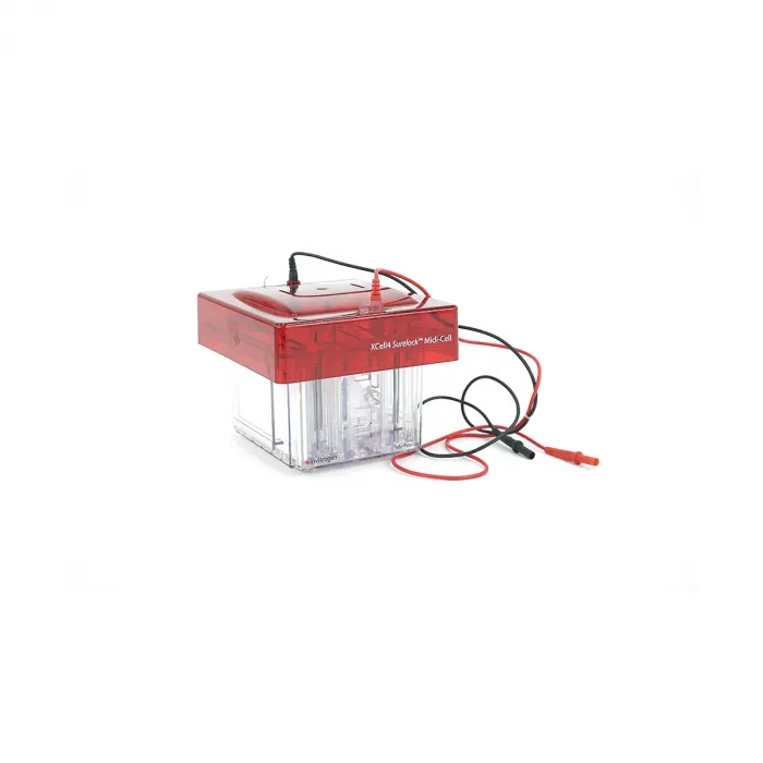 Used - Good INVITROGEN Xcell4 Surelock