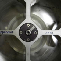 EPPENDORF 5810 Centrifuge