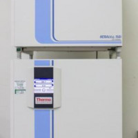 Used THERMO FISHER SCIENTIFIC Heracell 150i