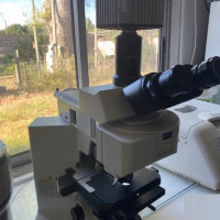 Refurbished OLYMPUS BX61TRF