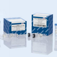 QIAGEN Certal CHO Detection Kit (100)
