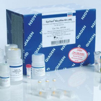 QIAGEN EpiTect Bisulfite Kit (48)
