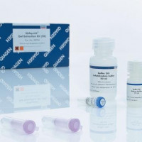 QIAGEN QIAquick Gel Extraction Kit (50)