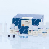 QIAGEN EndoFree Plasmid Maxi Kit (10)