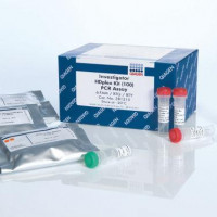 QIAGEN Investigator HDplex Kit (100)