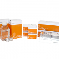 ILLUMINA NovaSeq 6000 S2 Reagent Kit v1.5 (100 cycles)