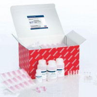 QIAGEN RNeasy Plus Mini Kit