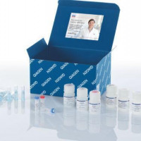 QIAGEN QIAprep Spin Miniprep Kit (250)