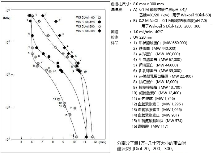 01304_img01 拷贝.jpg