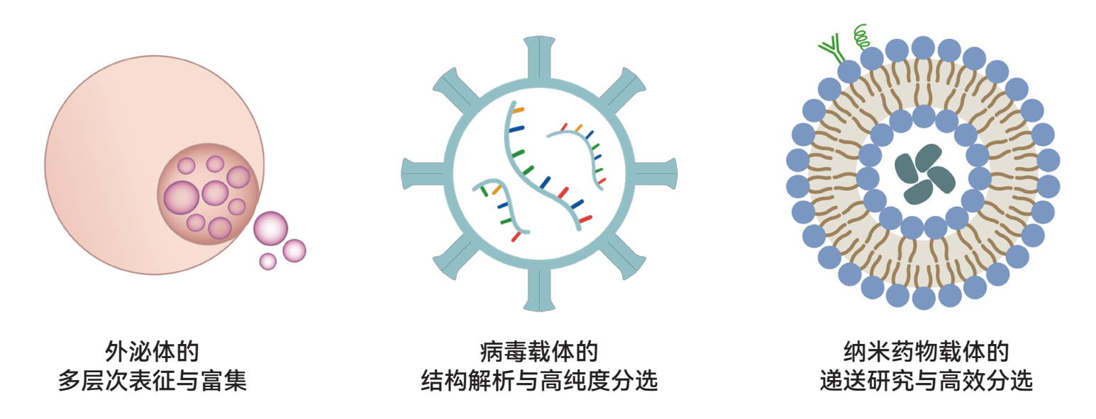 图片上传