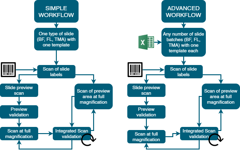 SL Flowchart