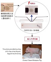 图片6