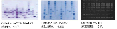 Criterion 预制胶系统2.gif