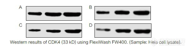 flexwash 2.jpg