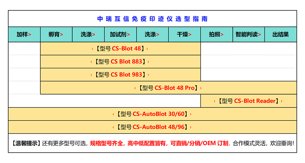 全自动蛋白免疫印迹仪