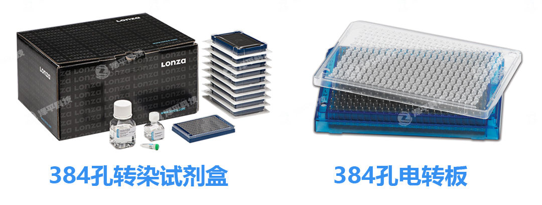 Lo<i></i>nza Nucleofector 384孔转染试剂盒 北京泽平