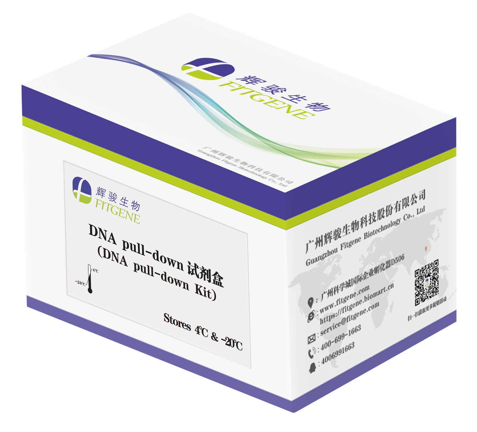 辉骏生物DNA pulldown试剂盒