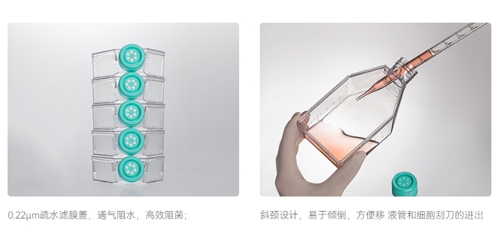 洁特细胞培养瓶3.png