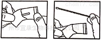 COPAN病毒采样拭子167KS01（意大利）