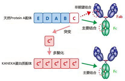 0515046024463277.png