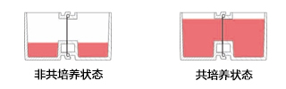 架子3.jpg
