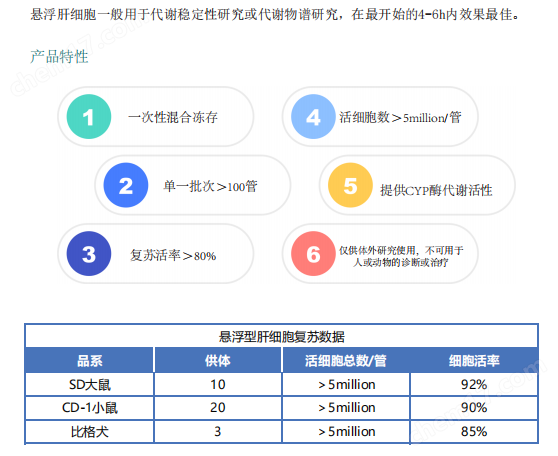 肝细胞