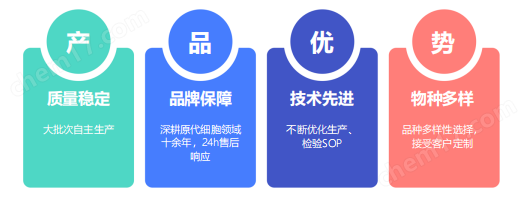 肝细胞