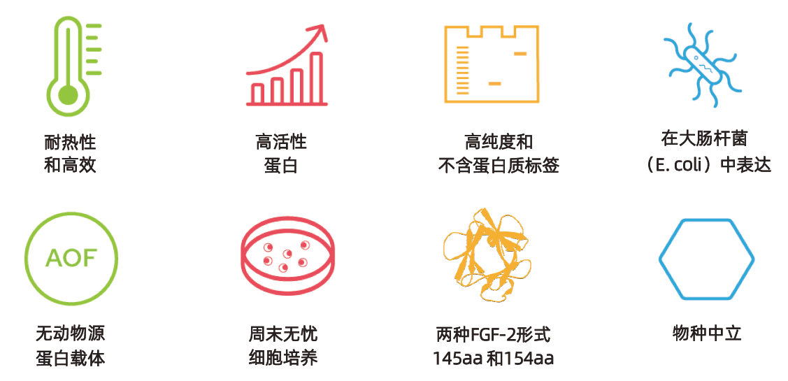 Qkine助您享受休息日无忧的热稳定FGF2-G3干细胞培养