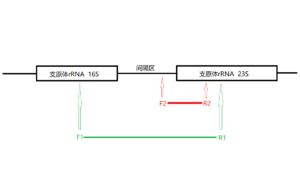 SNCD-001原理图