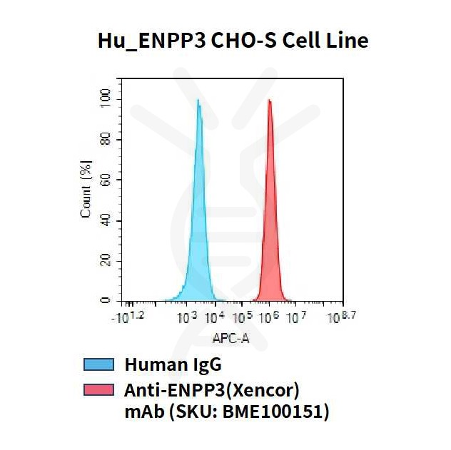 cel100056-hu-enpp3-cho-s-cell-line-flow.jpg