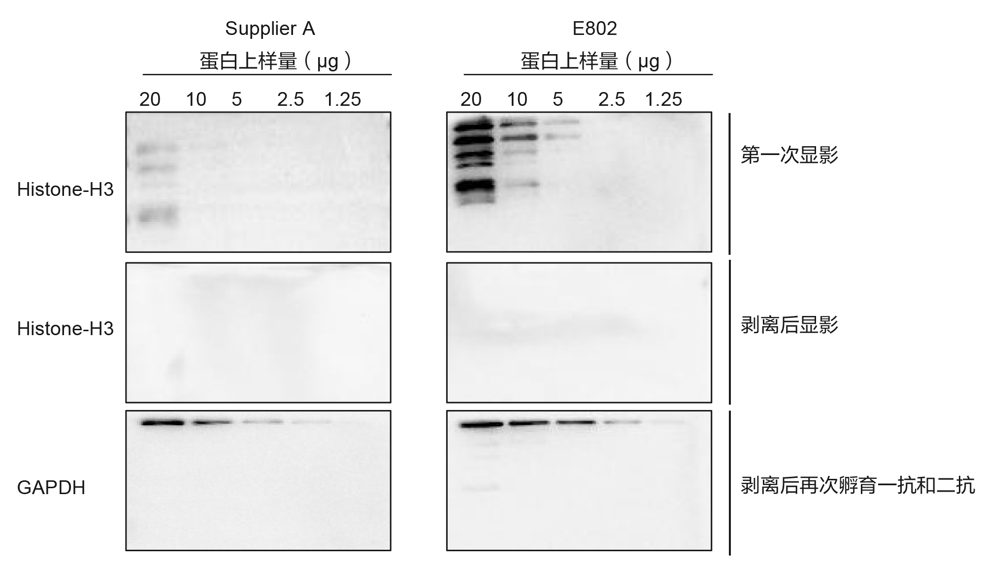 南京诺唯赞生物科技股份有限公司