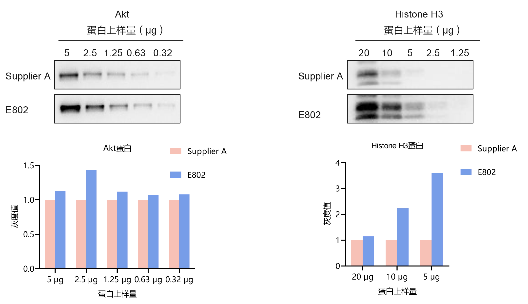 南京诺唯赞生物科技股份有限公司