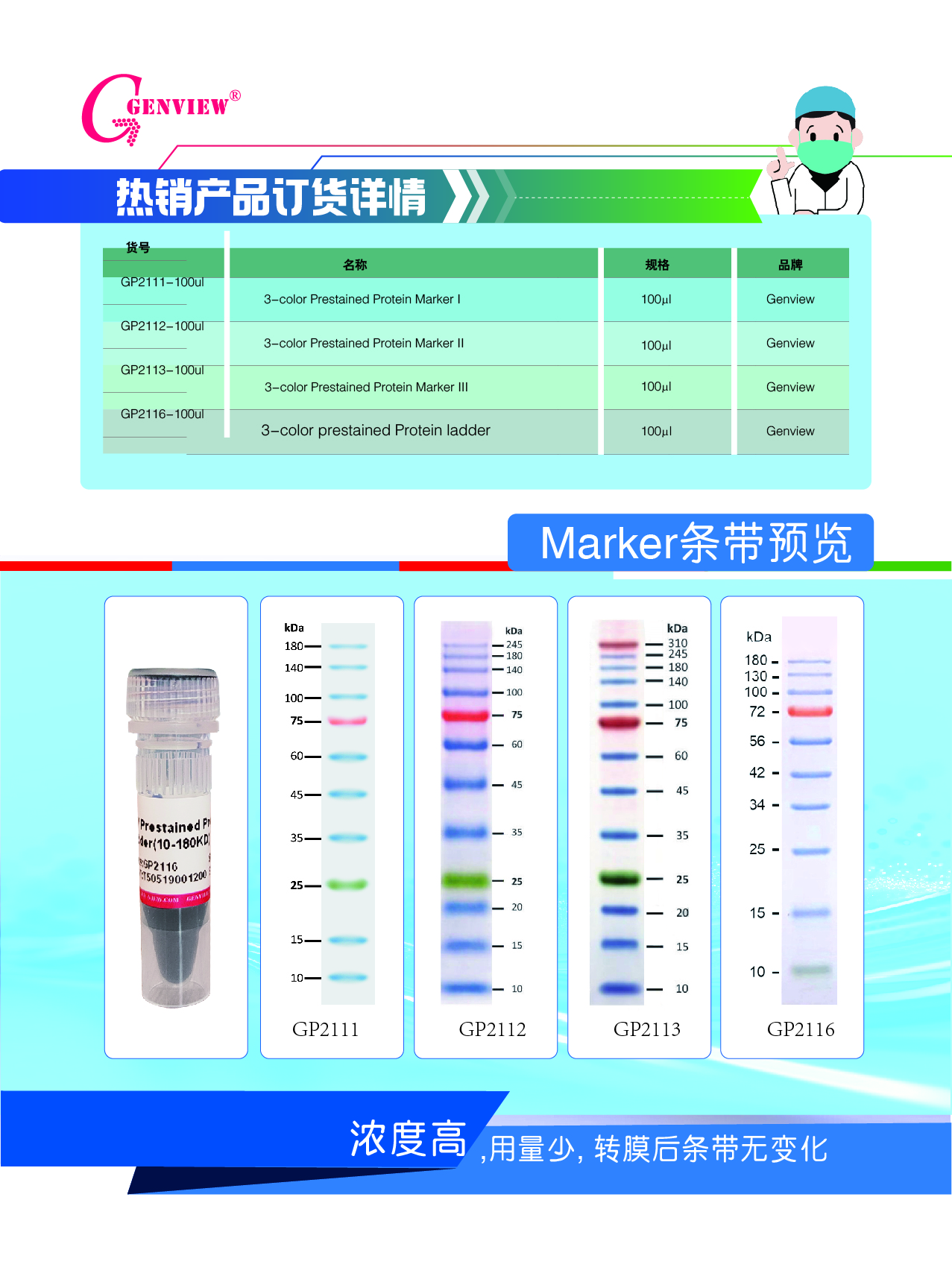 预染蛋白marker3.jpg