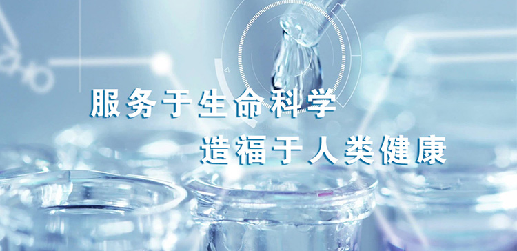 服务