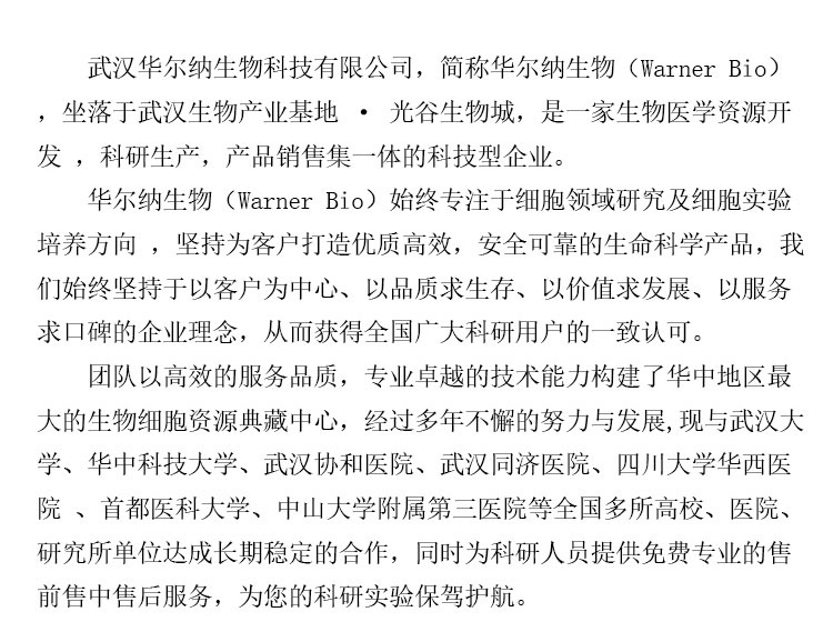 公司简介