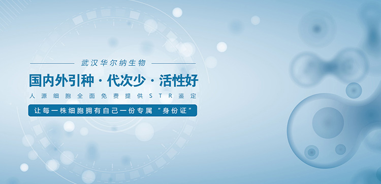 国内外引种