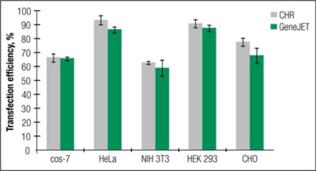 Efficient transfection of robust cell lines with plasmid DNA purified using GeneJET Maxiprep Kit