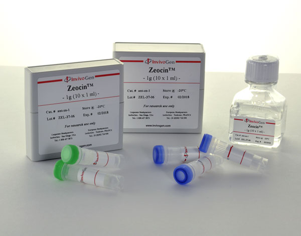 Zeocin | InvivoGen