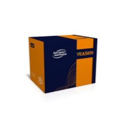 耐高盐全能核酸酶Salt Active UltraNuclease GMP-grade
