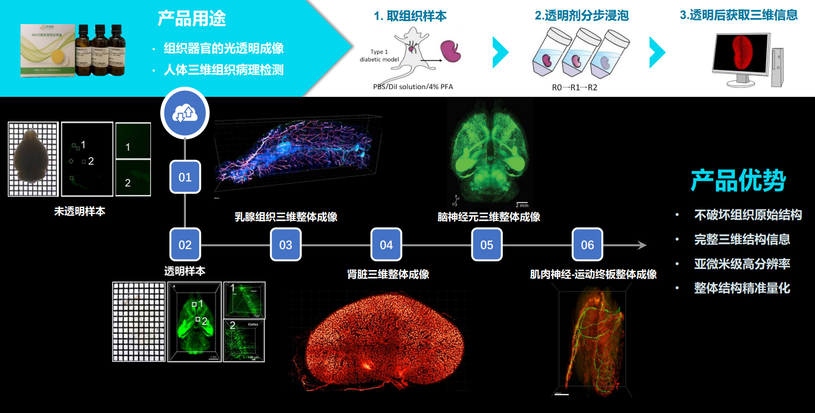 离体组织透明化试剂盒产品优势