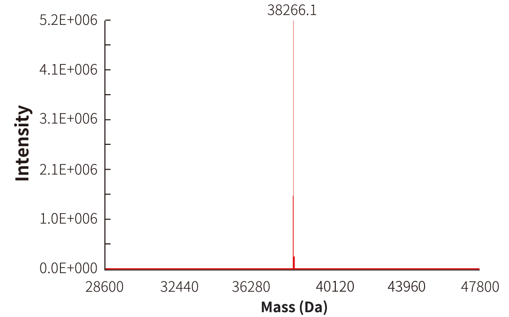 图 1. NAD Probes 单条探针的质谱检测结果。