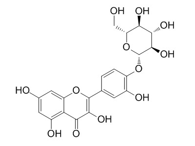 Quercetin 3-O-(6-galloyl)-beta-D-galactopyranoside