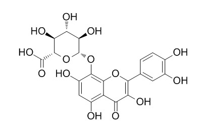 Quercetin-3-o-rutinose