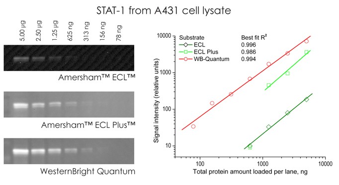 Quantum has the highest sensitivity with the widest dynamic range