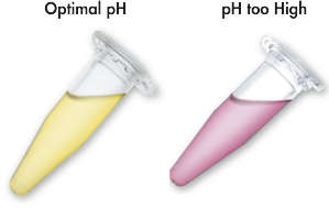 pH Indicator Dye.
