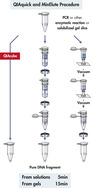 QIAquick and MinElute procedure.