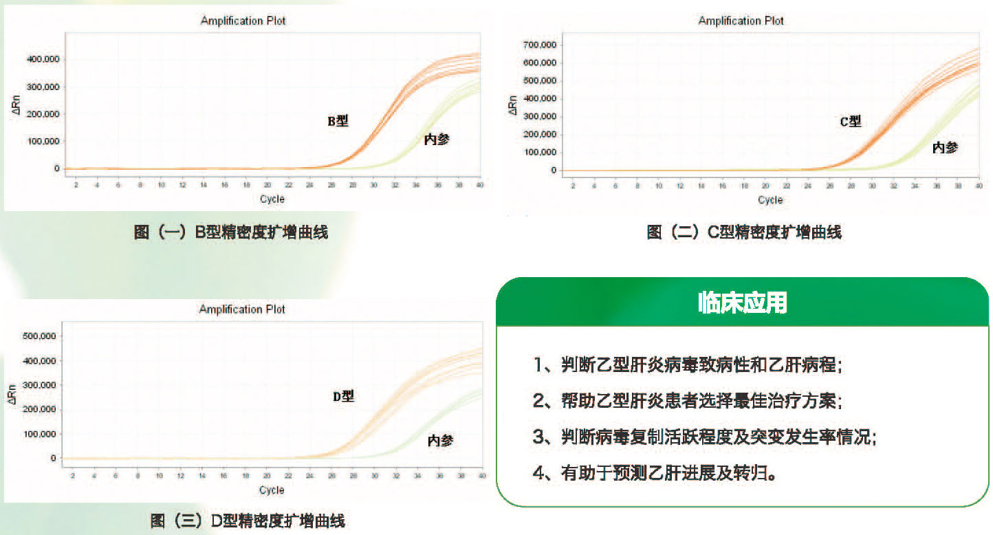 乙型肝炎病毒基因分型检测试剂盒(荧光PCR法)
