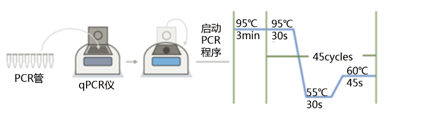 操作步骤4.5.png